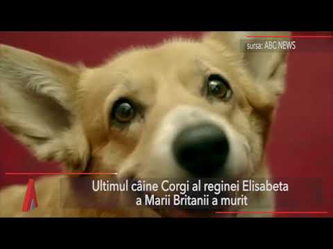 Stirile serii 18 aprilie 2018