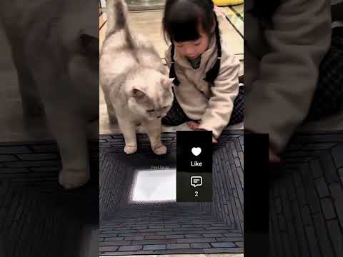 This Cat Protected Her Owner From a 3D Carpet! 🐱❤️