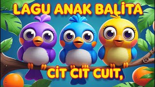 Download lagu CIT CIT CUIT | TEK KOTEK | 5 BEBEK KECIL BERMAIN | SUARA BINATANG | CONGKLAK KIDZ mp3