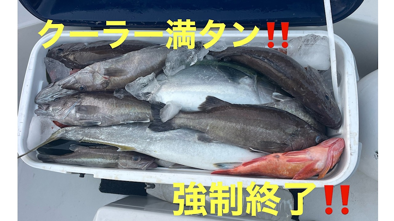 【マイボート】丹後沖　クーラー満タン‼【ジギング】#釣り #fishing #ジギング #神経締め#丹後ジギング