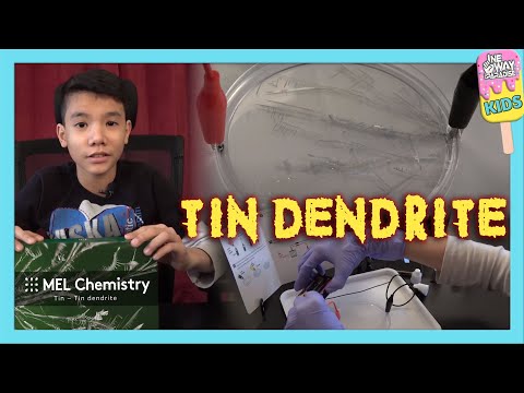 Tin Dendrite Experiment | Mel Science (Chemistry) | Mussab Akkari