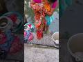 Morning Routine Of Beautiful Village Woman Cleaning Clothes Villagelife Morningroutine