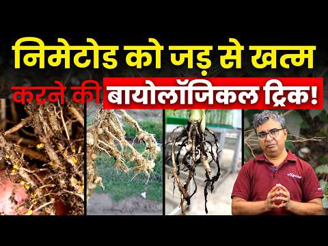 फसल को सूत्रकृमि (Nematode) से बचाने की बायोलॉजिकल तकनीक