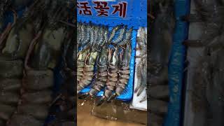 BEST SEAFOOD in Korea #shorts #seafood #korea