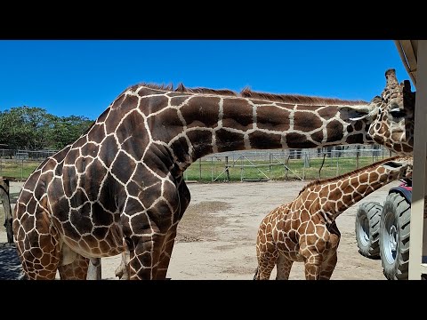 Paseo por el Cantón de BAGACES de Guanacaste  este 14 de Febrero  