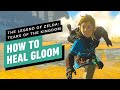 The Legend of Zelda: Tears of the Kingdom - How to Heal From Gloom