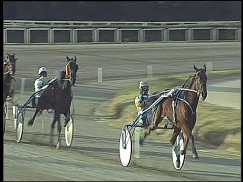 Trotto 06/01/2017 - 2ª corsa