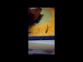 Synodontis polli Synodontis polli
