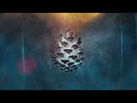 Kora, Wuachuma - Isocèle | Ensemble II [Saisons Musique]