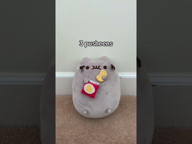 Vídeo relacionado con HENGBIRD Pudín Cojín, Gato Pudín Gatos Cojín Lindo Kawaii Plushie Lindo Plushie Lindo Plushies Squishmallo Cute Cosas Cute Cosas Squishy Mellow Kawaii Peluche Felpa Kawaii Almohada (Gato)