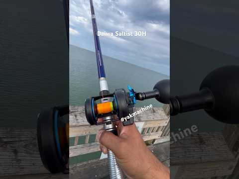 Daiwa Saltist 30H #Hatterascast #beach #pierfishing #beachfishing #fyp #foryou #shorts