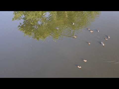 One of the recreation places for residents of a small town in the Urals "Kamensk-Uralsky"