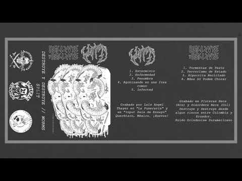 DESTRUYE Y DESTRUYE / WORMS (SPLIT)