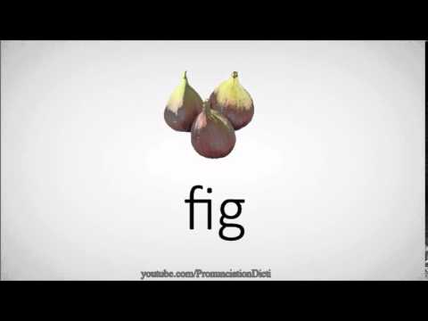 How to pronounce fig
