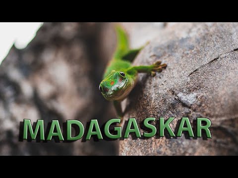 Madagaskar | 2022