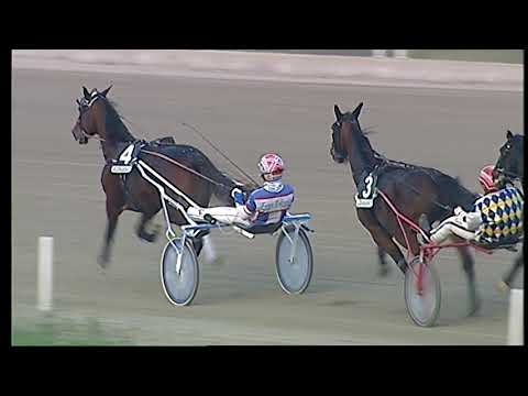 Napoli Trotto 21/11/2021 - 5ª corsa