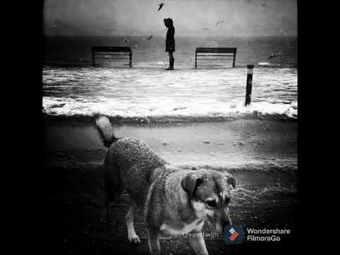 KRIME-STRIT____GETTO