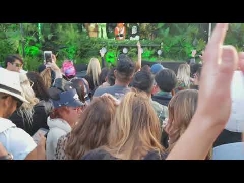 Trippy Turtle & Friends @ Crssd Fest 2018 (Spring)