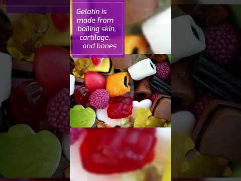 Gelatin isn't vegetarian  -  Food Facts 101  #7