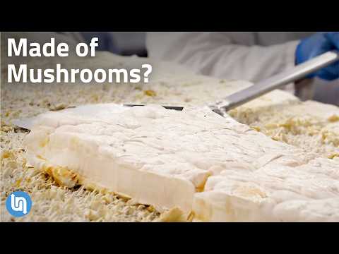 Why Mushrooms are Starting to Replace Everything