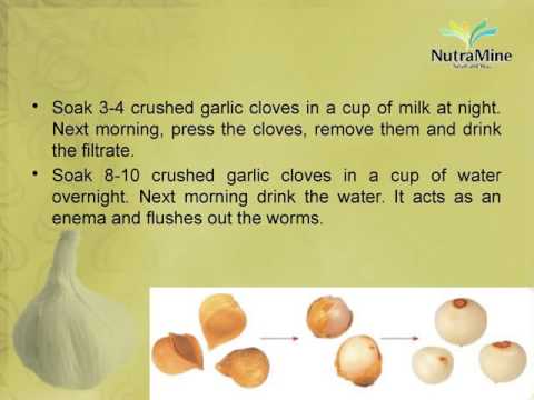Benefits of snow mountain garlic