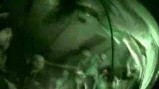 Dead To Fall Chum Fiesta