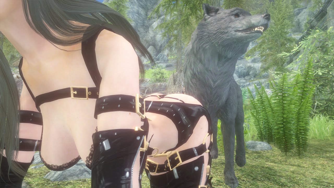 Welcome back to another episode of Skyrim Mods Boobs and Lubes. 