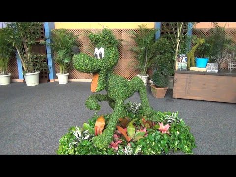 Epcot Flower & Garden 2015 Festival Center Tour w /Merchandise, Topiary, Anna & Elsa Maquettes