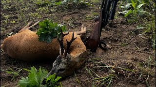 Bockjagd in Mecklenburg - Feld und Jagd x Wild und Pirsch