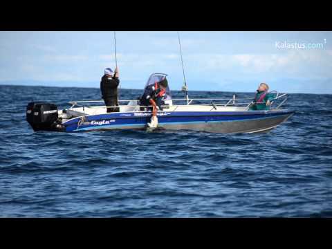 Iso turska aallokosta