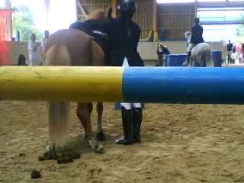 Geschicklichkeit DJIM 2010