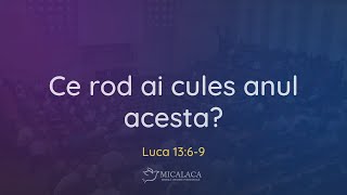 31 Decembrie | Duminică seara