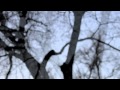 Numb As The Winter- Chelsea Wolfe & Ruben ...