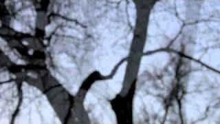 Numb As The Winter- Chelsea Wolfe & Ruben Reveles