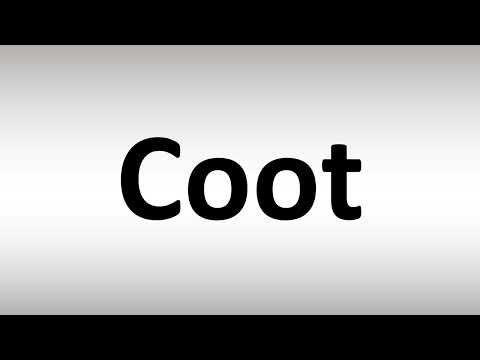 How to Pronounce Coot