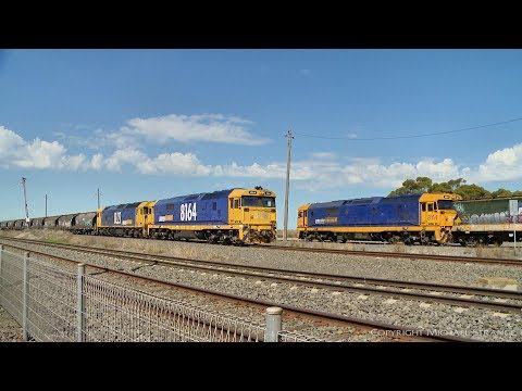 Pacific National Grain Train 7731V Refuels At Gheringhap - PoathTV Australian Railways