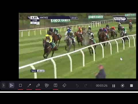 Race 5 Aintree  Topham Handicap Chase 14 4 23