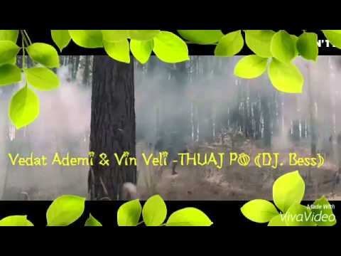 Vedat Ademi & Vin Veli - THUAJ PO (DJ. Bess)