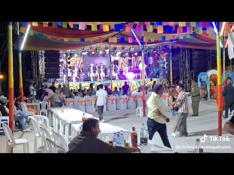 Valentín Vera (En Vivo) Mi Cholita