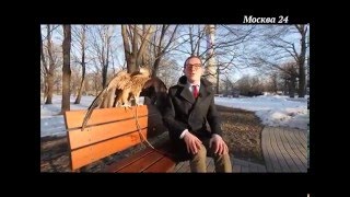 Сделано в Москве: Останкинская телебашня - история создания