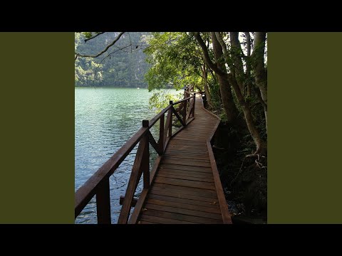 A Meeting in the Woods
