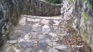 Ronith's world - Bonaire 2013