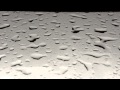 "Neptune" - Sleeping At Last (Micro Music Video ...
