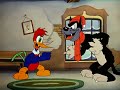 Classic Woody Woodpecker Cartoon Pantry Panic