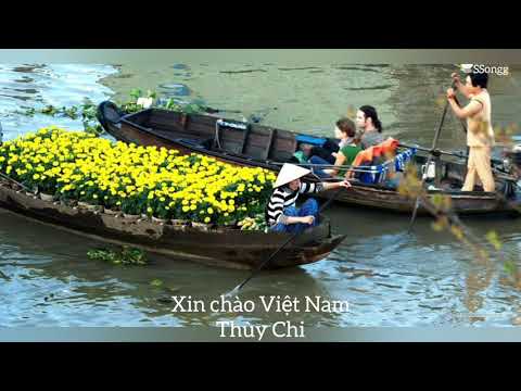 Xin chào Việt Nam (Thùy Chi) - 1 hour