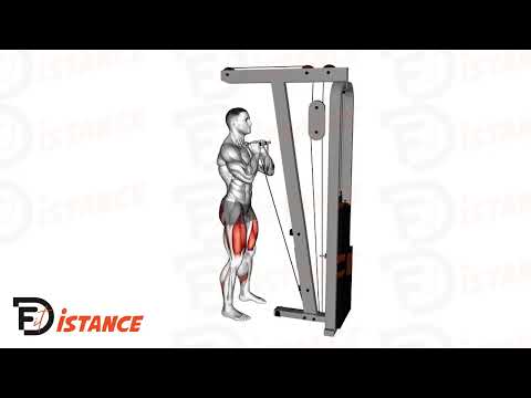 Squats avant à la poulie - Exercice Squats avant à la poulie en vidéo Squats avant à la poulie - Exercice Squats avant à la poulie en vidéo