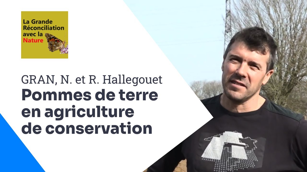 Produire des Pommes de terre en ACS , l'expérience réussie des frères Hallegouet