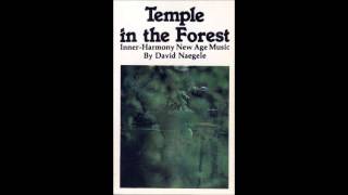David Naegele: Temple in the Forest