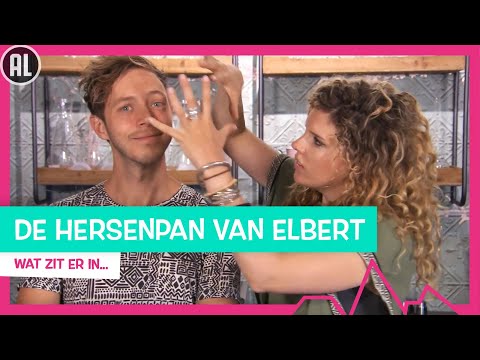 HERSENPANVOEDSELSOEP?! - TOPDOKS ONDERZOEK