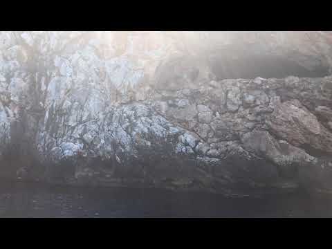 10 сентября 2019 г.